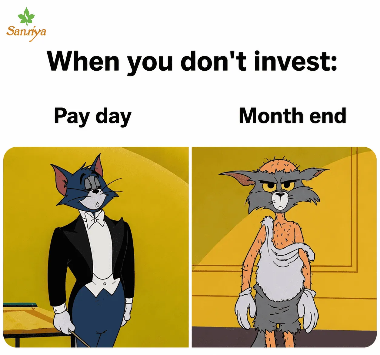salary and invest